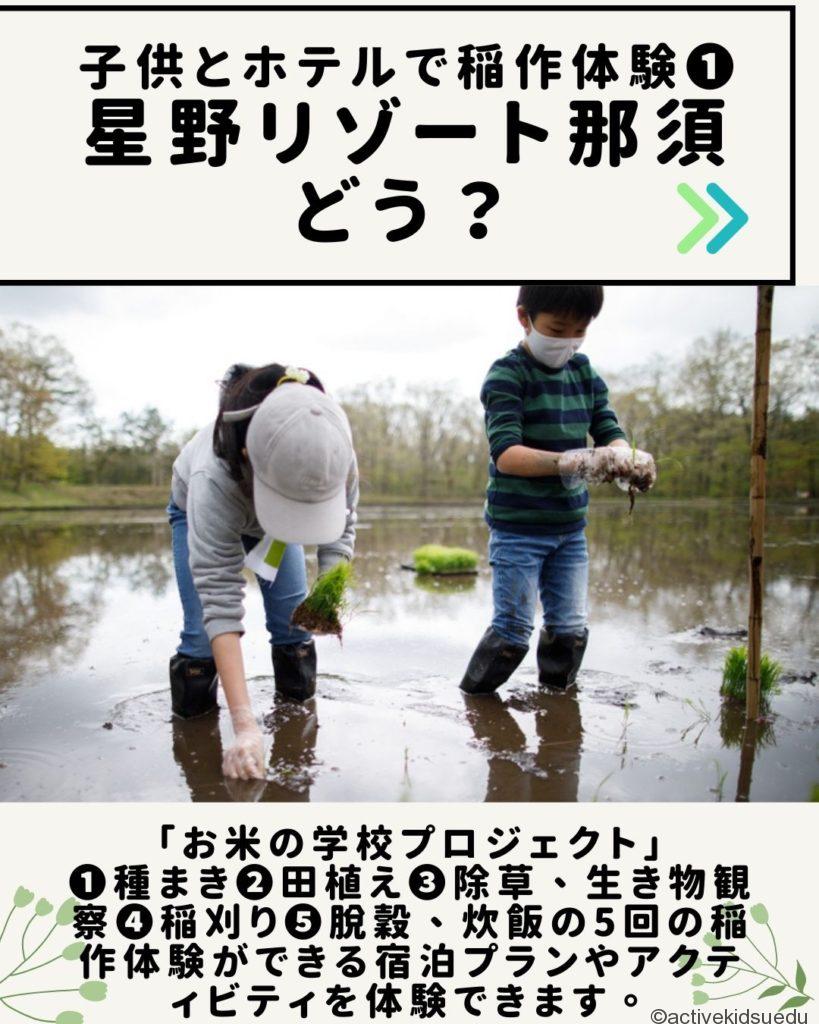 【子どもとお出かけ雑学】「穀雨」（こくう）ってどんな日？　子供と行きたい稲作体験プログラム3選／4月20日